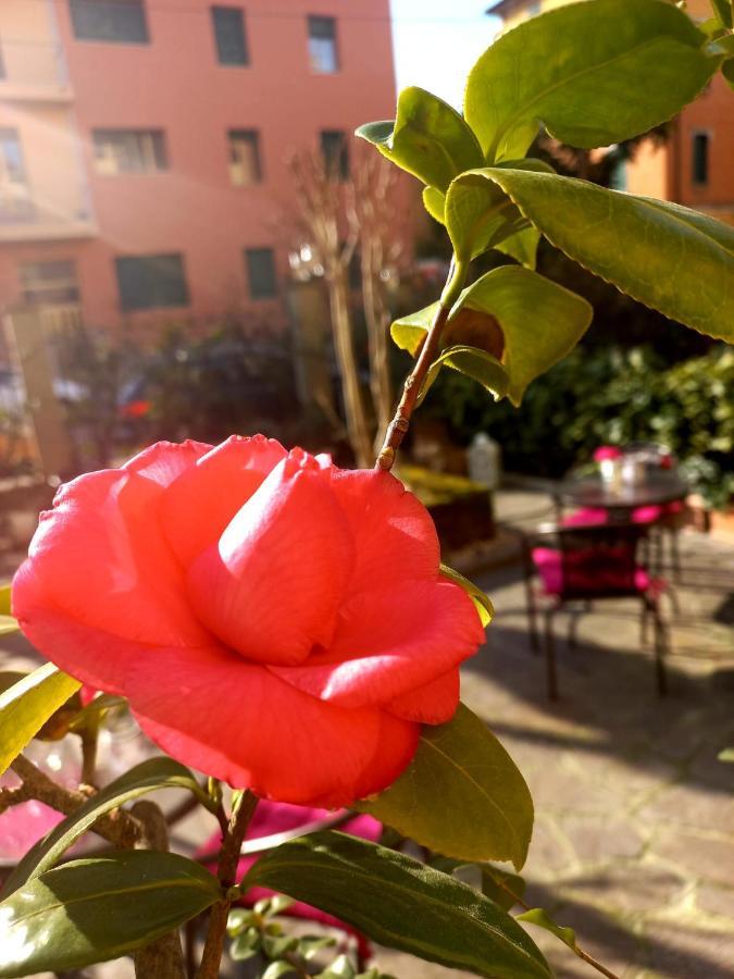 Hotel Arcoveggio Bologna Bagian luar foto